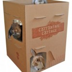 cottontail_cottage-001